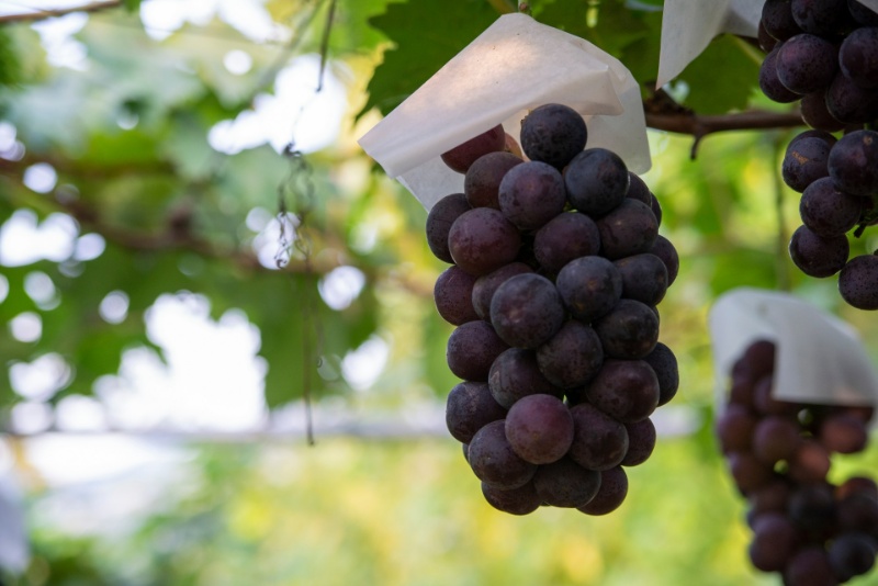 AdobeStock_223654473